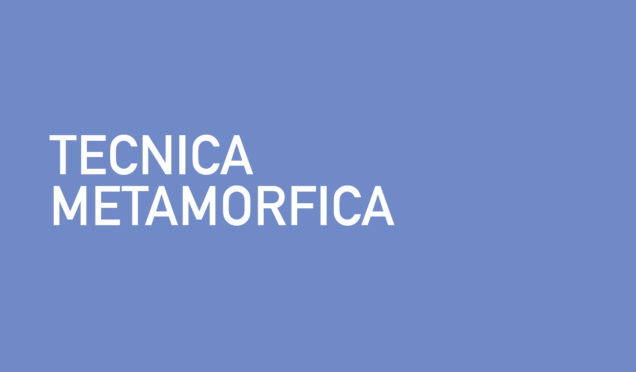 banner Tecnica Metamorfica